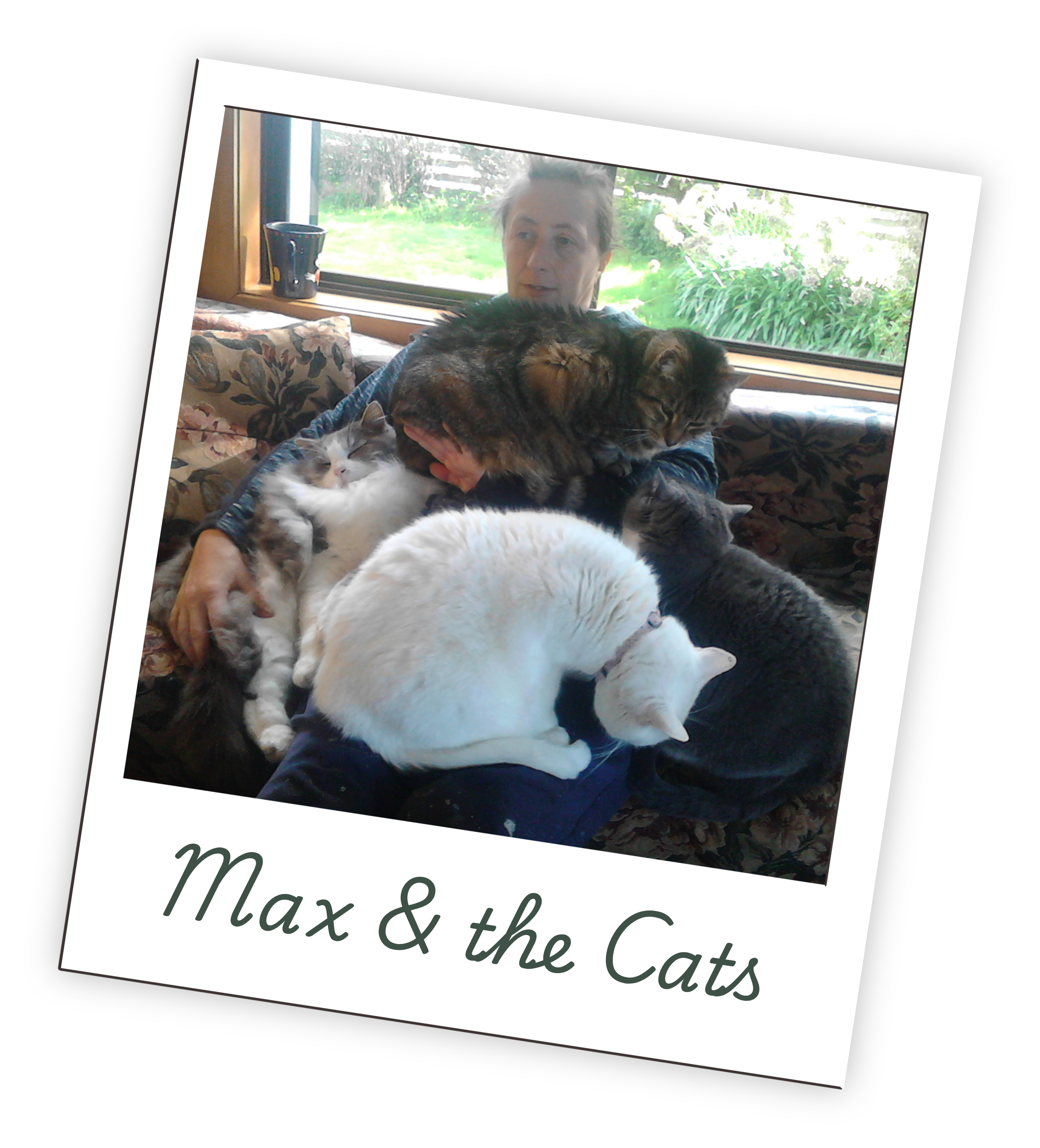 Max with rescued cats